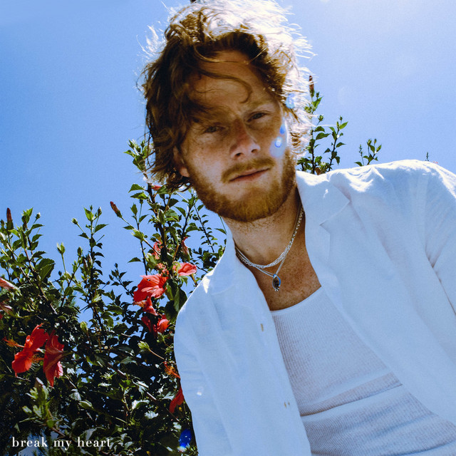 break my heart • Cały album • Wszystkie utwory • Wykonawca