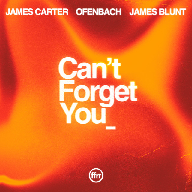 Can’t Forget You (feat. James Blunt) [Extended Mix] • Cały album • Wszystkie utwory • Wykonawca