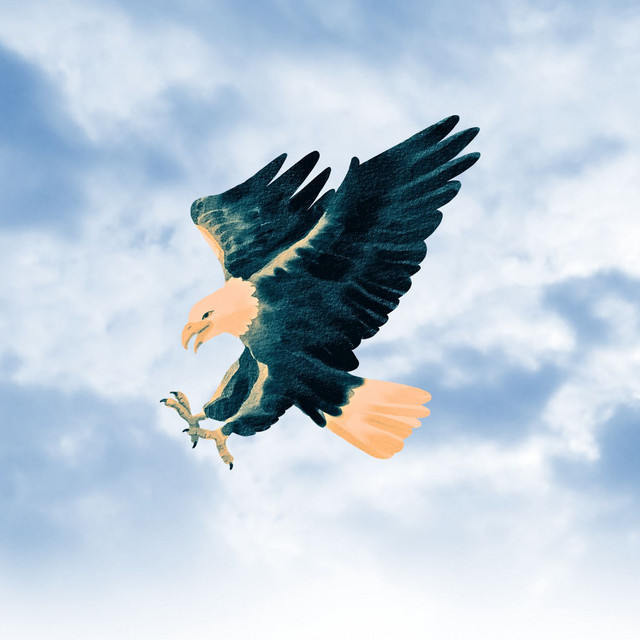 Lot nad kukułczym gniazdem • Cały album • Wszystkie utwory • Wykonawca