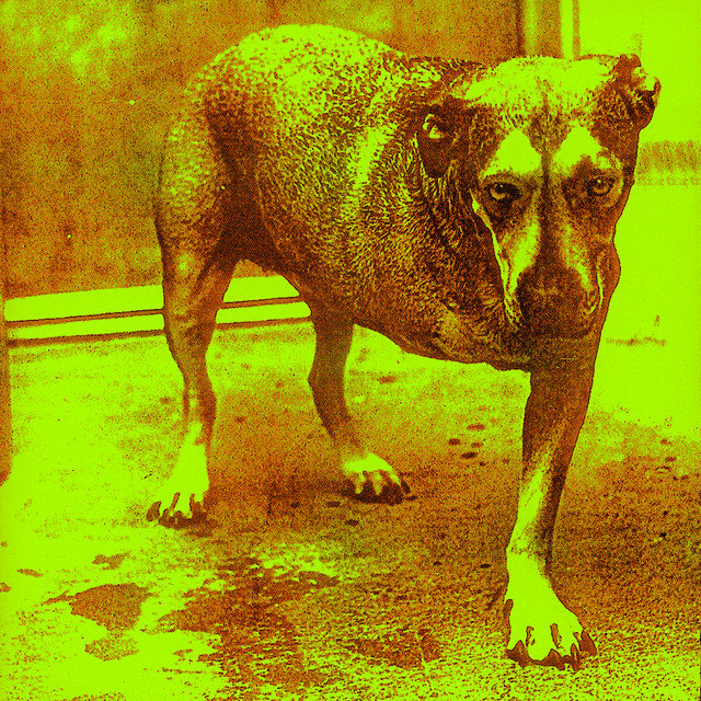 Alice In Chains • Cały album • Wszystkie utwory • Wykonawca