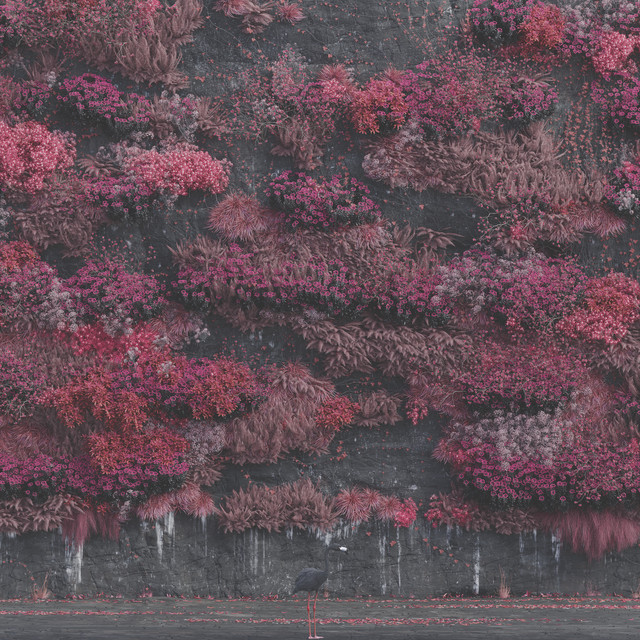 Even In Arcadia • Cały album • Wszystkie utwory • Wykonawca