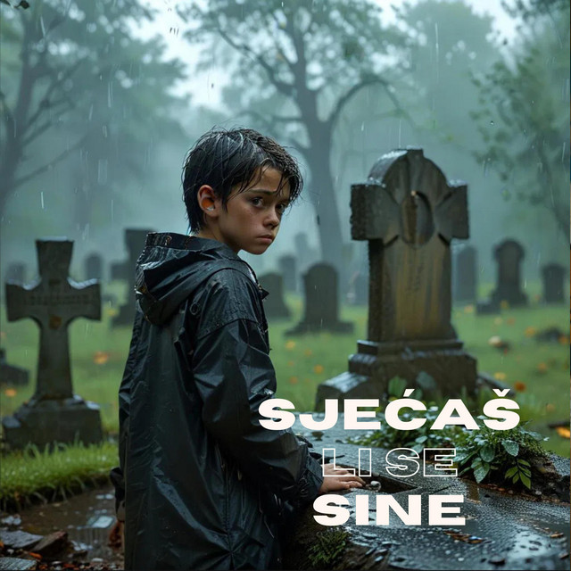 SJEĆAŠ LI SE SINE • Cały album • Wszystkie utwory • Wykonawca