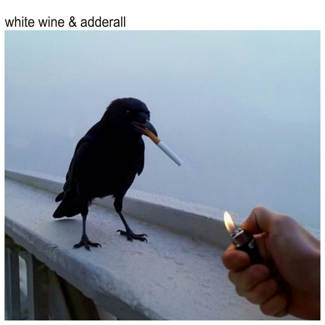 White Wine & Adderall • Cały album • Wszystkie utwory • Wykonawca