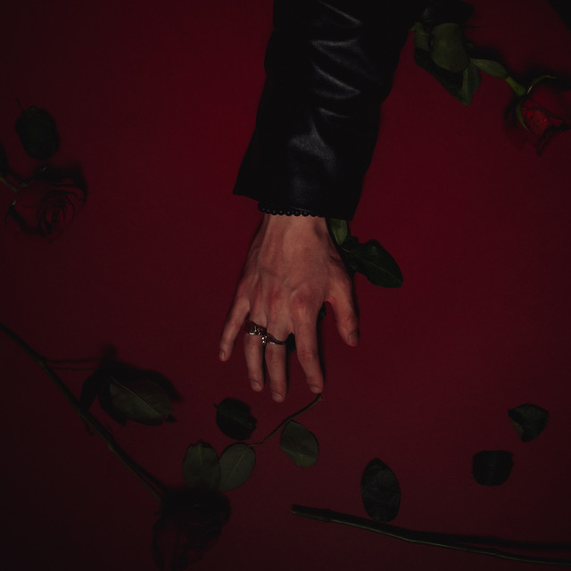 RED ROSE • Cały album • Wszystkie utwory • Wykonawca