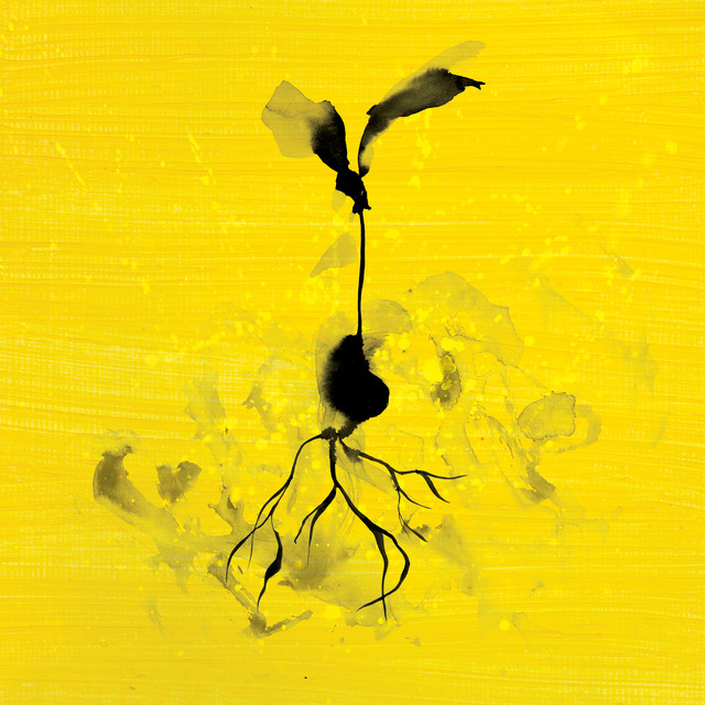 Life Goes On (feat. Luke Combs) • Cały album • Wszystkie utwory • Wykonawca