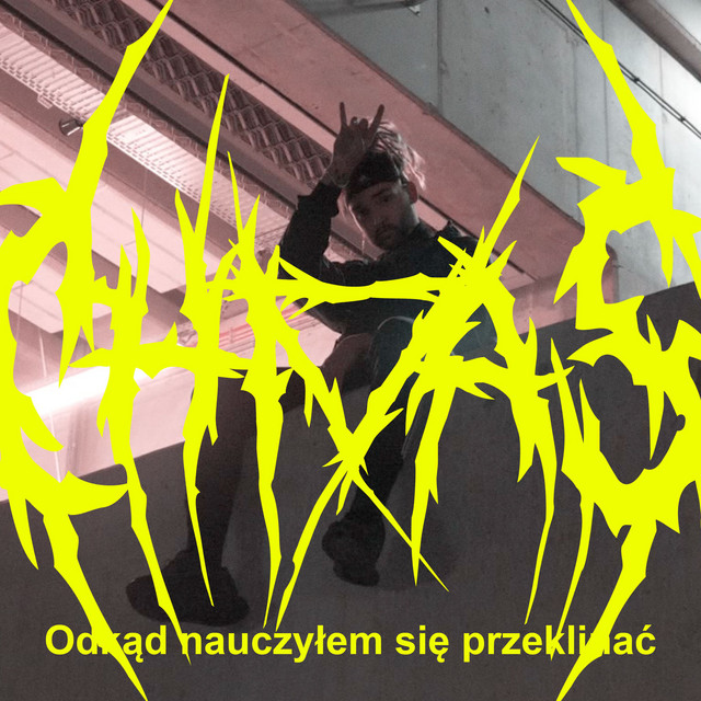 Odkąd nauczyłem się (przeklinać) • Cały album • Wszystkie utwory • Wykonawca