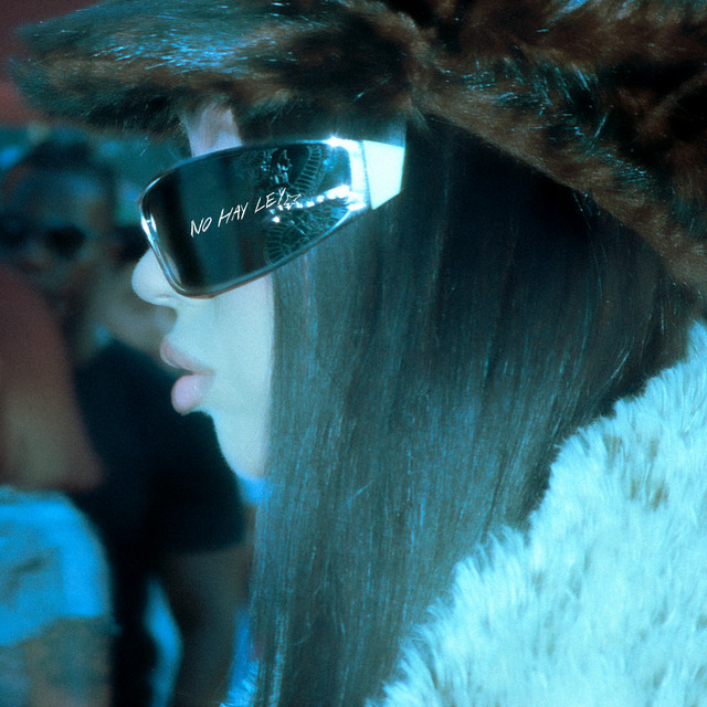 NO HAY LEY • Cały album • Wszystkie utwory • Wykonawca