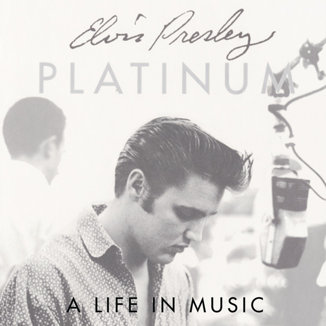 Platinum - A Life In Music • Cały album • Wszystkie utwory • Wykonawca