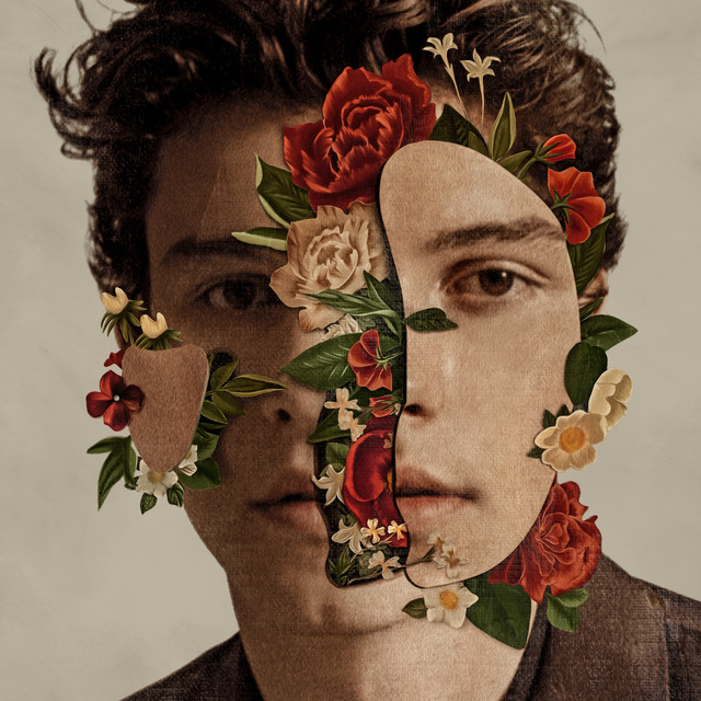 Shawn Mendes (Deluxe) • Cały album • Wszystkie utwory • Wykonawca