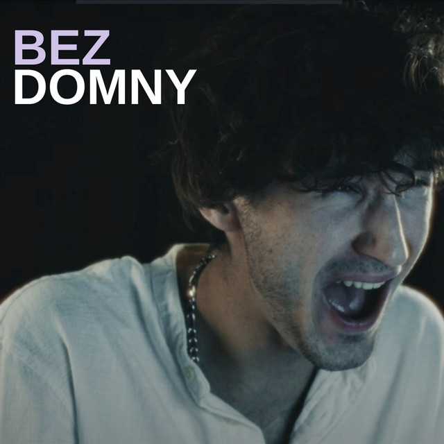 bezdomny • Cały album • Wszystkie utwory • Wykonawca