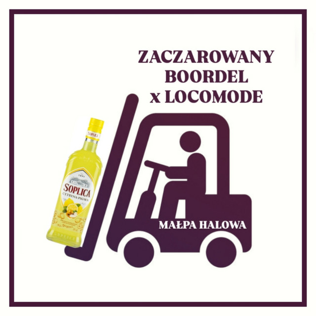 MAŁPA HALOWA • Cały album • Wszystkie utwory • Wykonawca