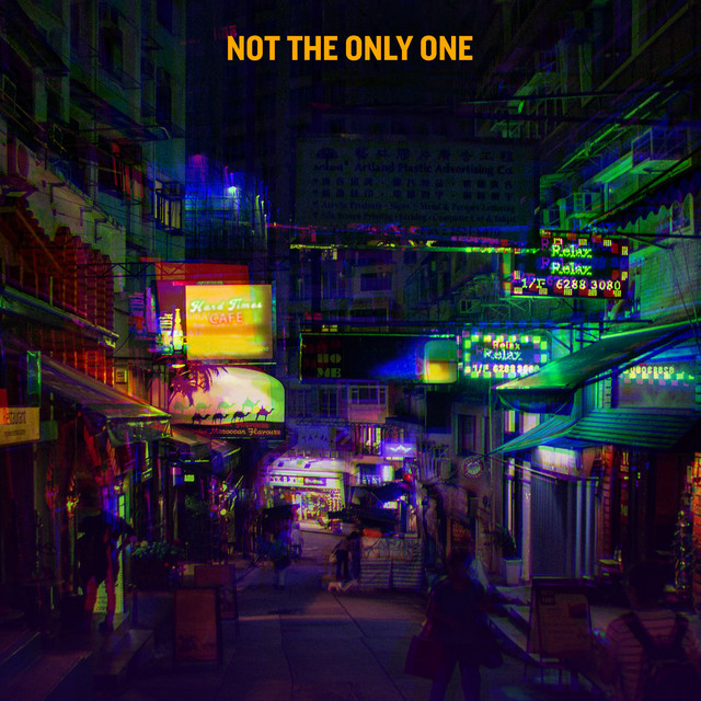 Not The Only One • Cały album • Wszystkie utwory • Wykonawca