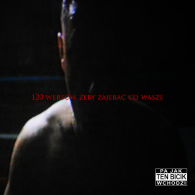 120 WERSÓW ŻEBY ZAJE*AĆ CO WASZE • Cały album • Wszystkie utwory • Wykonawca