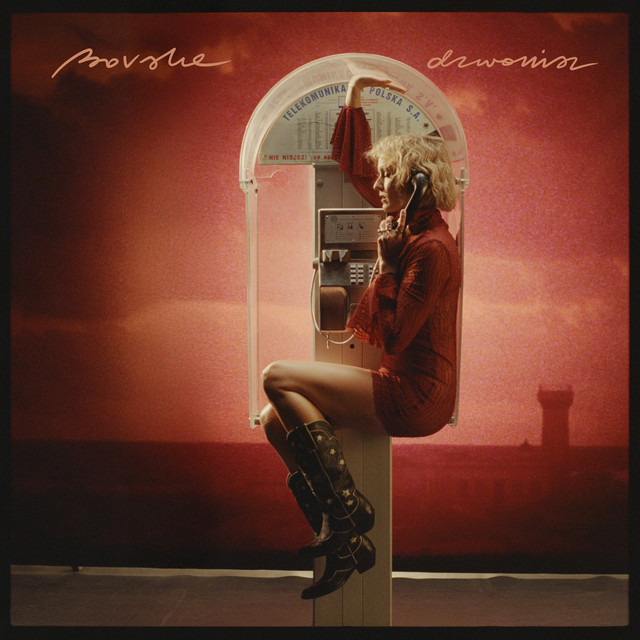 Dzwonisz • Cały album • Wszystkie utwory • Wykonawca