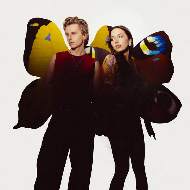 motyl • Cały album • Wszystkie utwory • Wykonawca