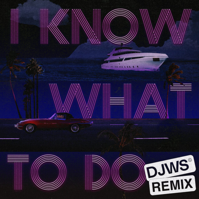 I Know What To Do - DJWS Remix • Cały album • Wszystkie utwory • Wykonawca