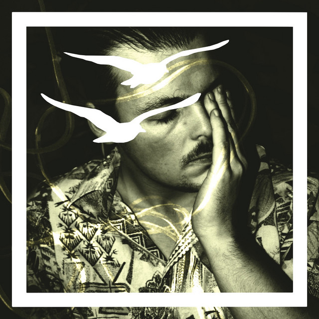 Za nimi (Ptaki Remix) • Cały album • Wszystkie utwory • Wykonawca