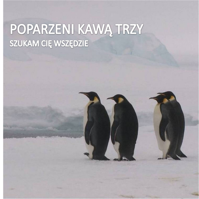 Szukam Cię Wszędzie • Cały album • Wszystkie utwory • Wykonawca