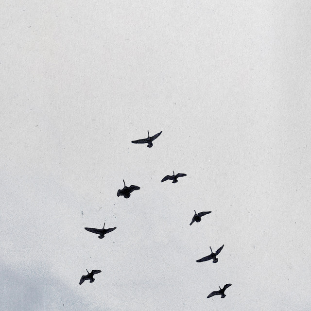 GOD/MARRIAGE • Cały album • Wszystkie utwory • Wykonawca