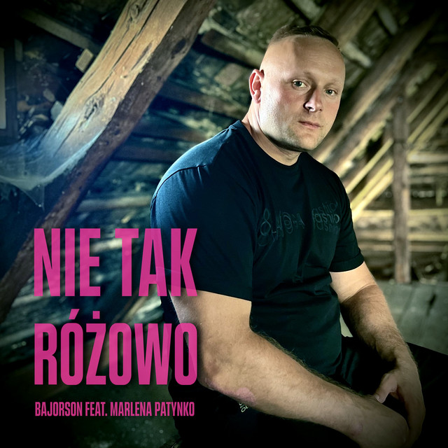 Nie tak różowo • Cały album • Wszystkie utwory • Wykonawca