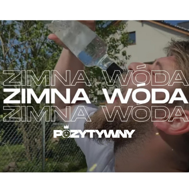 Zimna Wóda (POZYTYWNY Remix) • Cały album • Wszystkie utwory • Wykonawca
