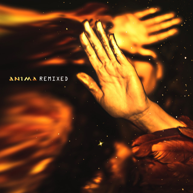 Anima Remixed • Cały album • Wszystkie utwory • Wykonawca