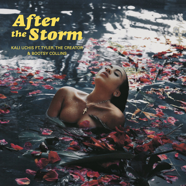 After The Storm (feat. Tyler, The Creator & Bootsy Collins) • Cały album • Wszystkie utwory • Wykonawca