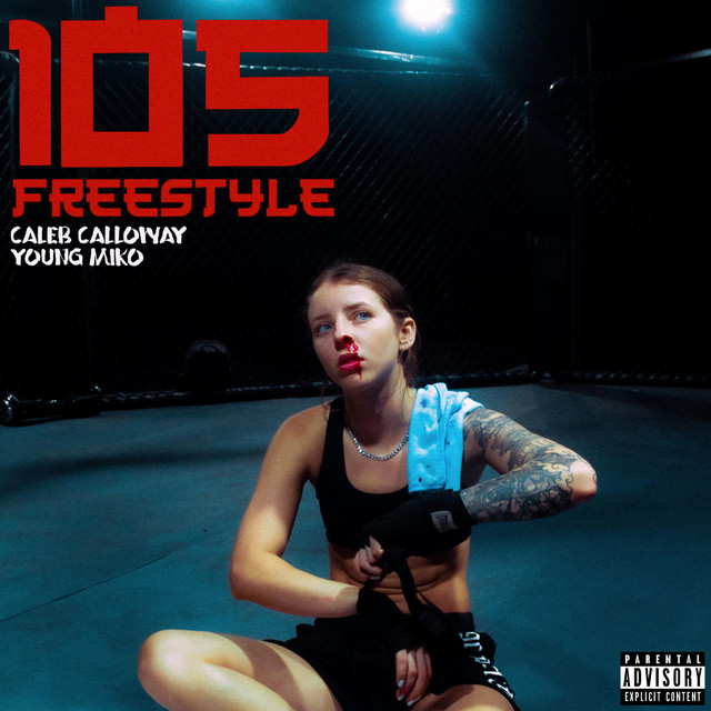 105 Freestyle • Cały album • Wszystkie utwory • Wykonawca