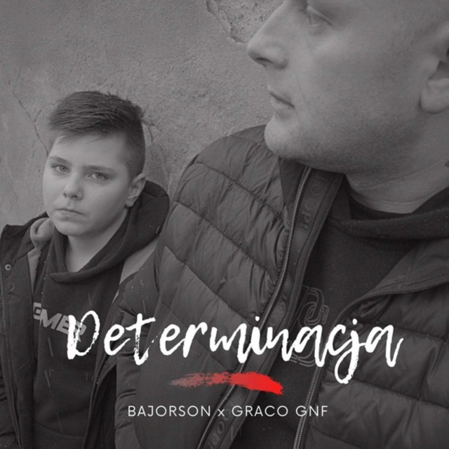 Determinacja • Cały album • Wszystkie utwory • Wykonawca