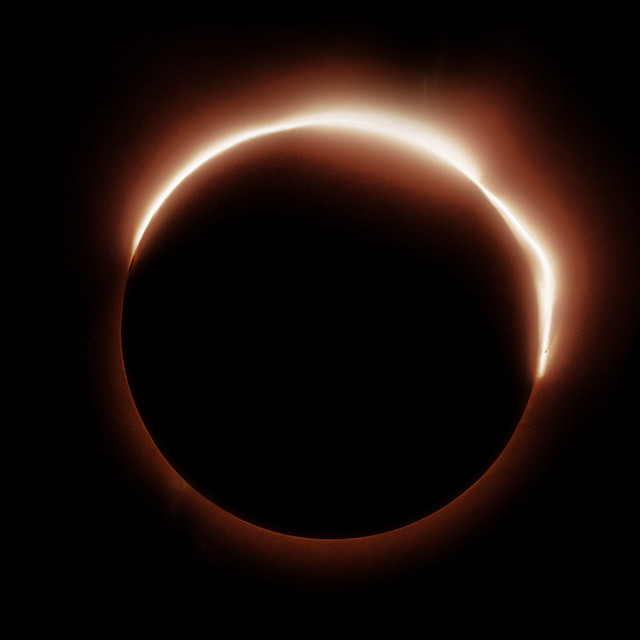 Take Me To The Sun • Cały album • Wszystkie utwory • Wykonawca