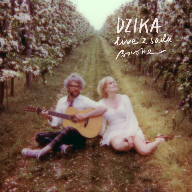 Dzika (Live z sadu) • Cały album • Wszystkie utwory • Wykonawca