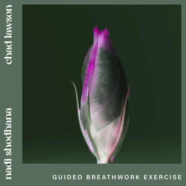 nadi shodhana (guided breathwork exercise) • Cały album • Wszystkie utwory • Wykonawca
