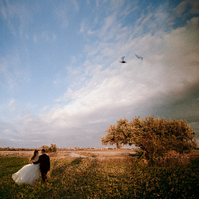 Save You a Seat • Cały album • Wszystkie utwory • Wykonawca