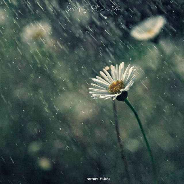 Storm • Cały album • Wszystkie utwory • Wykonawca