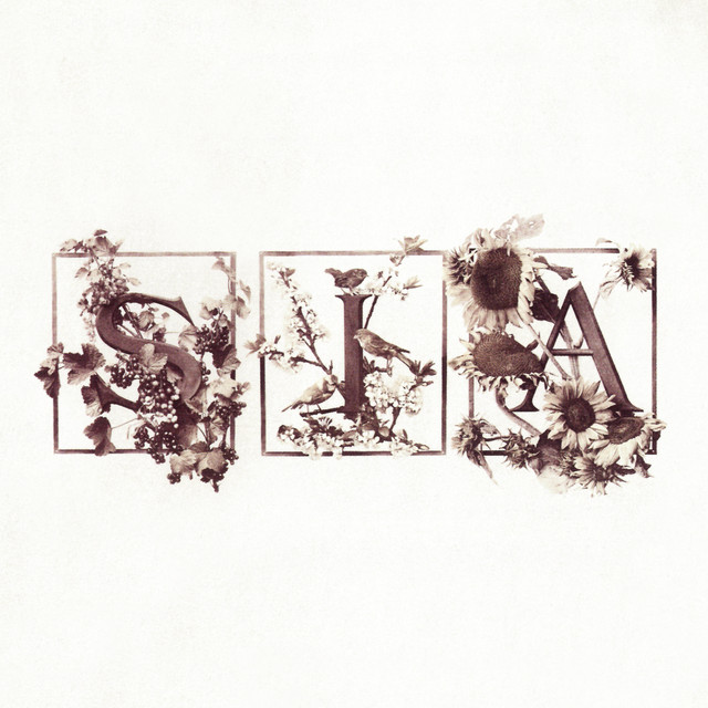 Colour The Small One (Deluxe Edition) • Cały album • Wszystkie utwory • Wykonawca