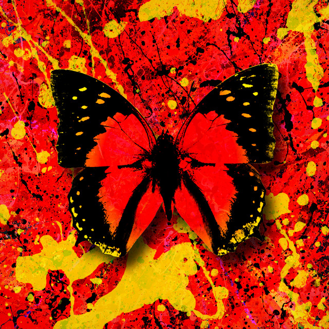 2step (feat. Quevedo) • Cały album • Wszystkie utwory • Wykonawca