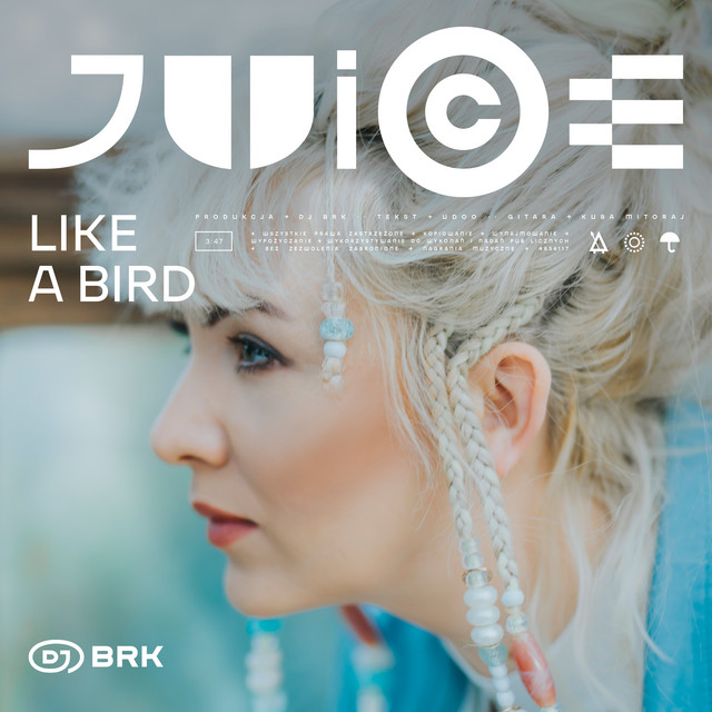 Like A Bird • Cały album • Wszystkie utwory • Wykonawca