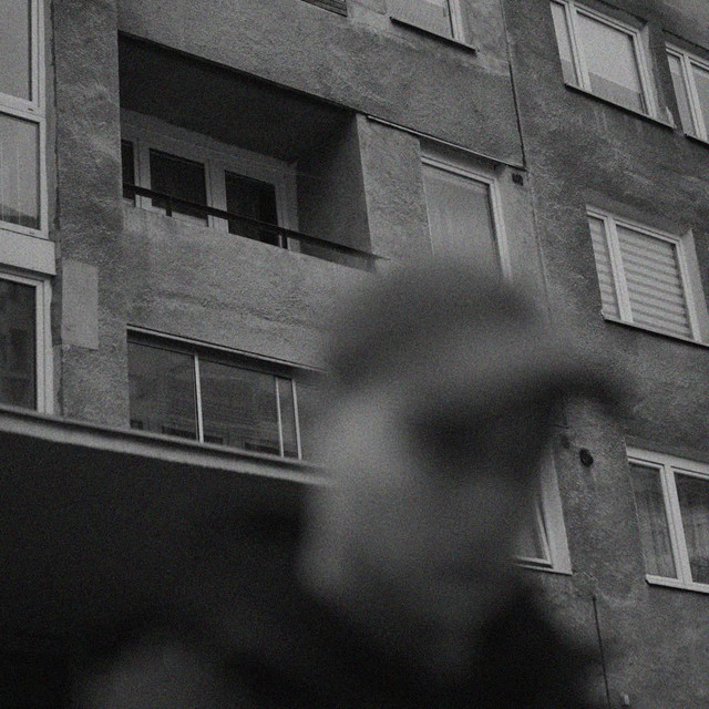 Debet • Cały album • Wszystkie utwory • Wykonawca