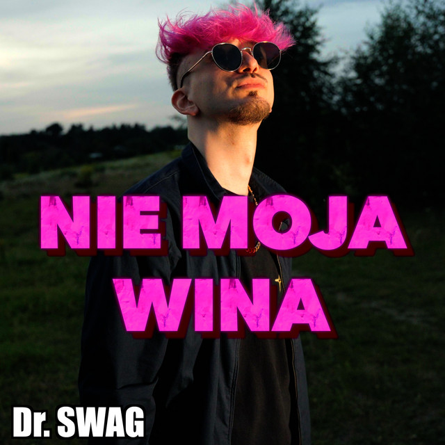 NIE MOJA WINA • Cały album • Wszystkie utwory • Wykonawca