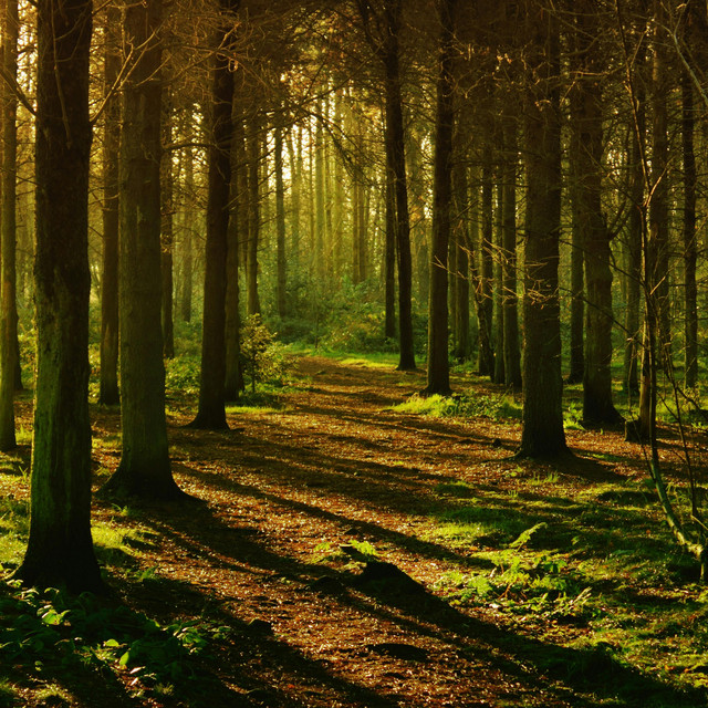 Nowy Moment • Cały album • Wszystkie utwory • Wykonawca