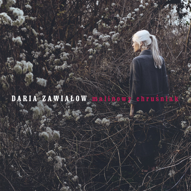 Malinowy Chrusniak • Cały album • Wszystkie utwory • Wykonawca