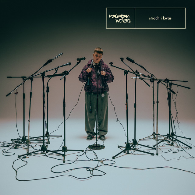 Strach i kwas • Cały album • Wszystkie utwory • Wykonawca