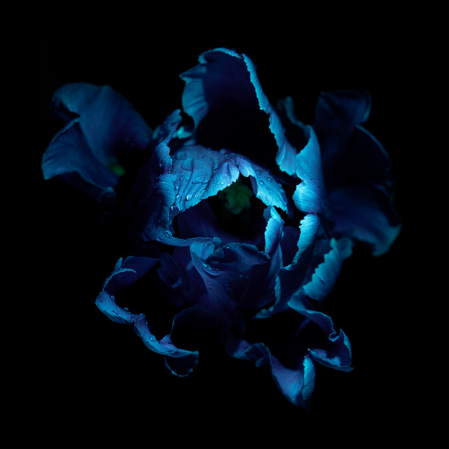 the color of the sky (sleep rework) • Cały album • Wszystkie utwory • Wykonawca