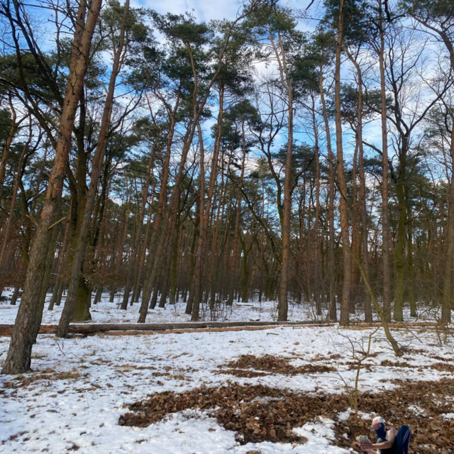 sztuczki • Cały album • Wszystkie utwory • Wykonawca