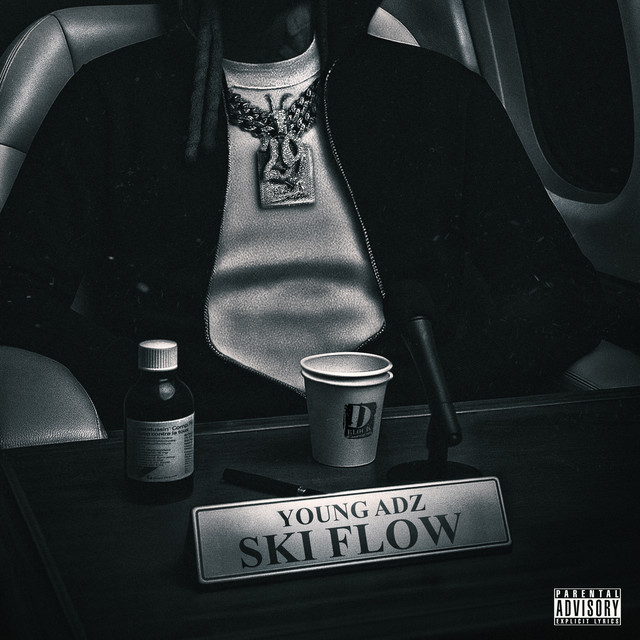 Ski Flow • Cały album • Wszystkie utwory • Wykonawca