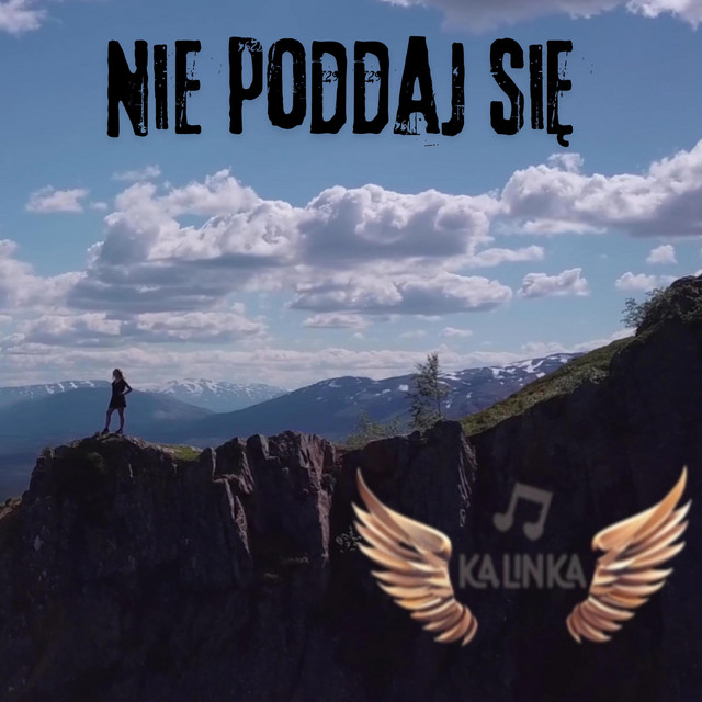 Nie poddaj się • Cały album • Wszystkie utwory • Wykonawca