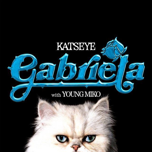 Gabriela (with Young Miko) [Young Miko Remix] • Cały album • Wszystkie utwory • Wykonawca