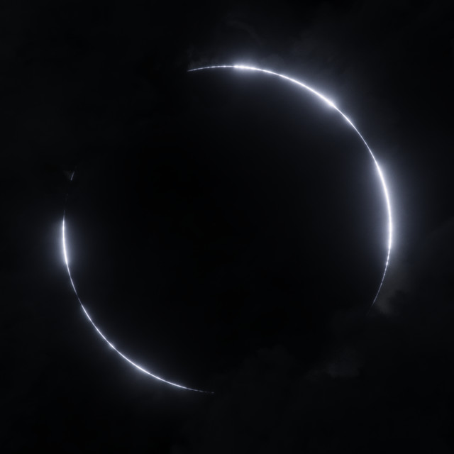 Paradise Again: The Live Album • Cały album • Wszystkie utwory • Wykonawca