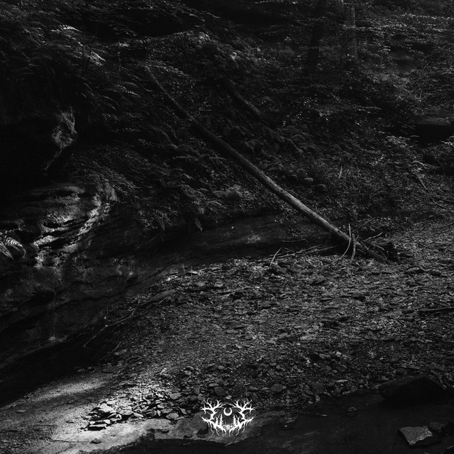 Into the Earth • Cały album • Wszystkie utwory • Wykonawca