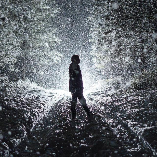 Willfully Blind • Cały album • Wszystkie utwory • Wykonawca